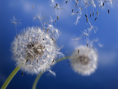 Blowin' in the wind...