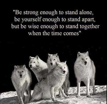 The logic of a wolf-pack DesignWise Studios 
